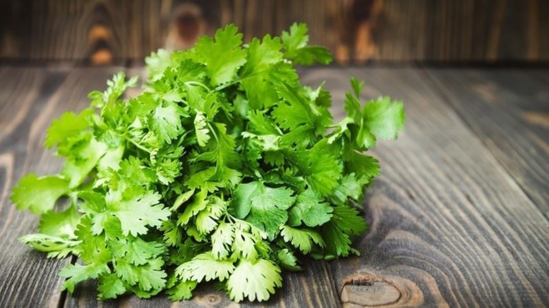 Parsley