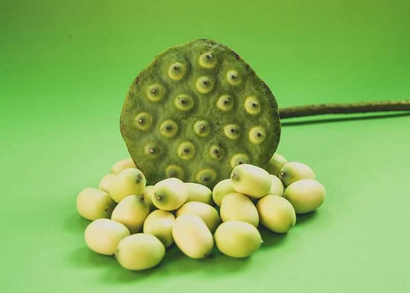 Dried lotus seeds are associated with several health benefits
