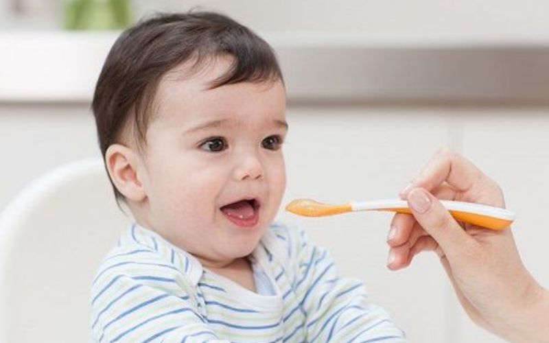 Combining purees with baby-led weaning adds texture variety and supports balanced feeding