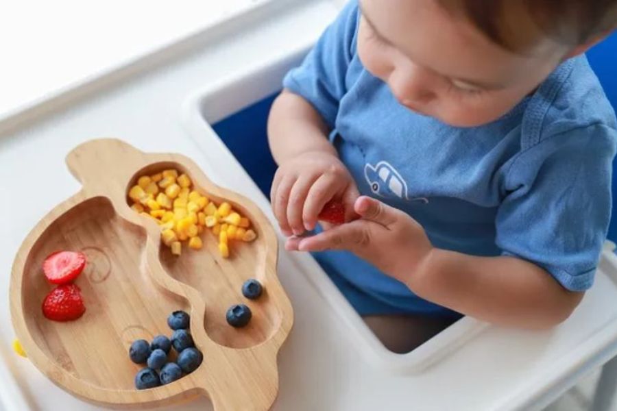Baby-led weaning encourages self-feeding soft foods alongside purees for balanced nutrition