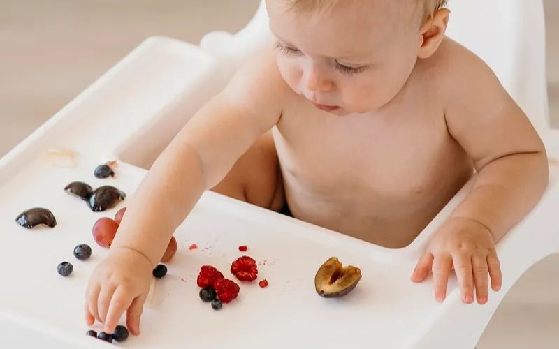Baby-led weaning promotes healthy eating, motor skills, independence, and reduces mealtime stress