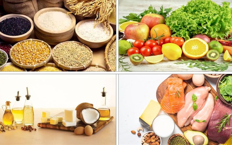 Cần cân bằng đủ 4 nhóm dưỡng chất thiết yếu để hỗ trợ sự phát triển toàn diện