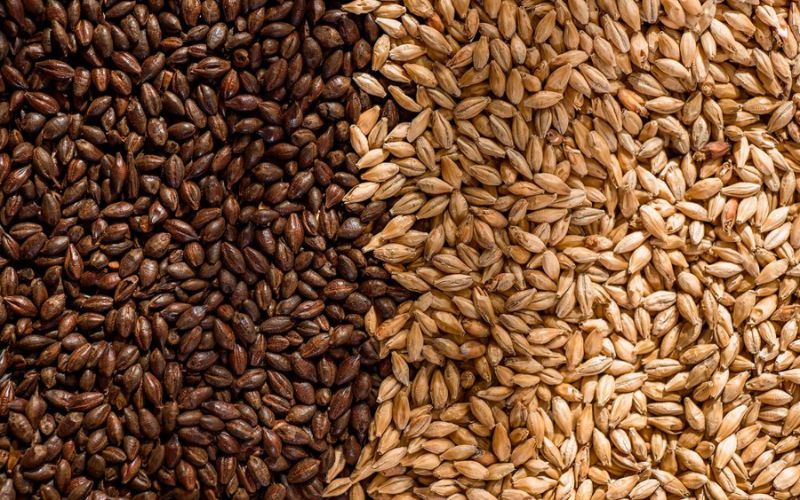 Lúa mạch đen giàu chất xơ và vitamin B, tốt cho đường ruột nhưng chứa gluten.
