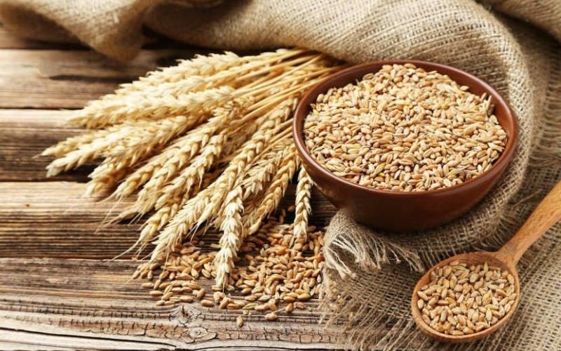 Ngũ cốc nguyên hạt giúp bảo vệ tim mạch, phòng tiểu đường, kiểm soát cân nặng,...