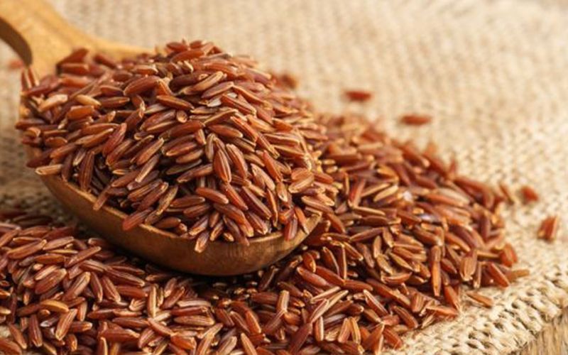 Gạo lứt giàu dinh dưỡng, chỉ số đường huyết thấp, hỗ trợ tiêu hóa và kiểm soát cân nặng.
