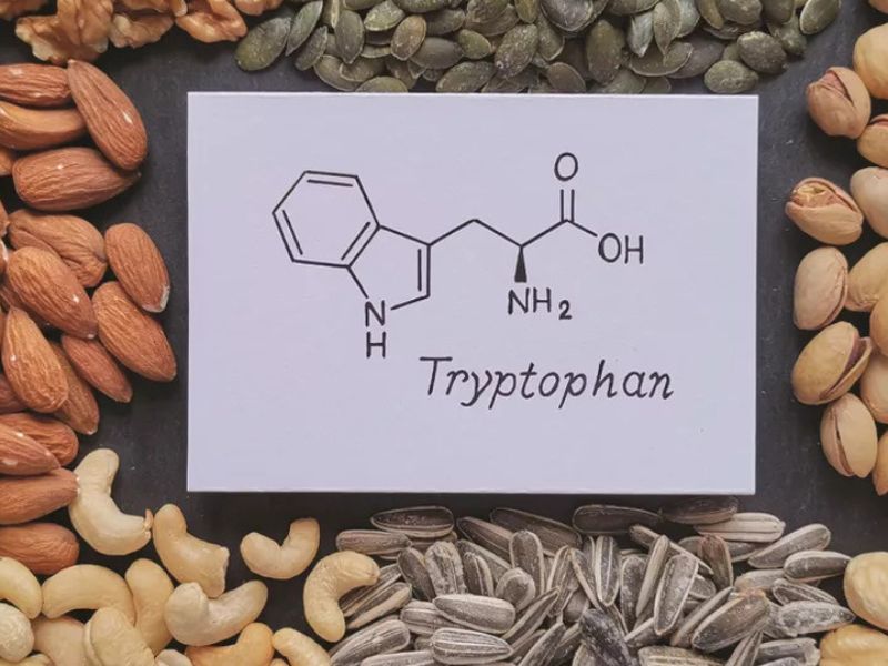 Tryptophan là axit amin thiết yếu, tham gia tổng hợp protein, sản xuất năng lượng, hỗ trợ miễn dịch, tâm trạng và giấc ngủ.