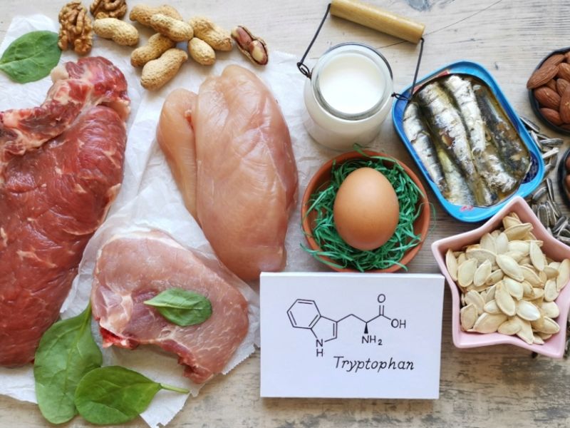 Tryptophan là axit amin thiết yếu, tham gia tổng hợp protein, sản xuất năng lượng, hỗ trợ miễn dịch, tâm trạng và giấc ngủ.