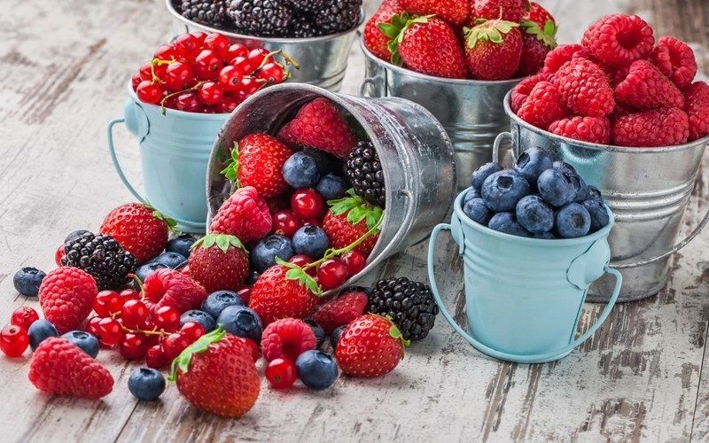 Quả mọng là nguồn chất chống oxy hóa mạnh mẽ, ít đường và giàu dinh dưỡng, giúp tăng cường trí nhớ và bảo vệ tim mạch.