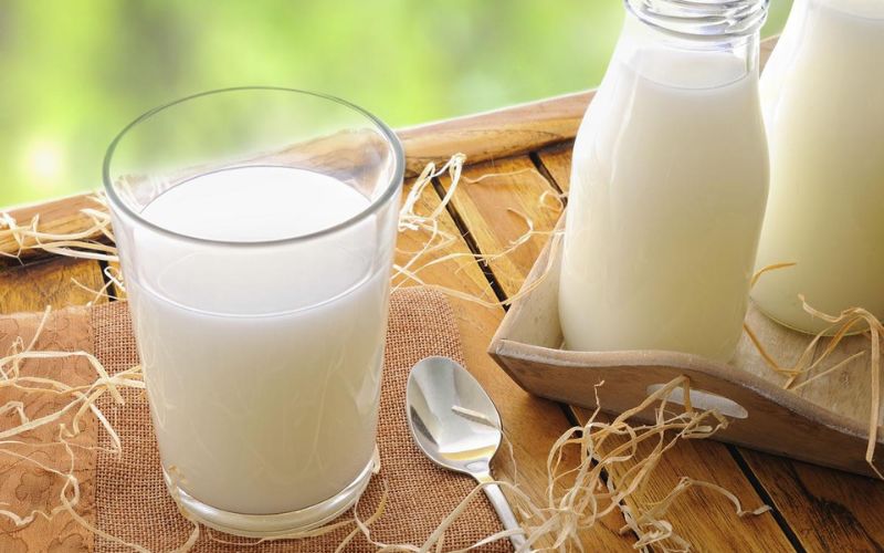 Sữa tươi là nguồn canxi và protein thiết yếu, giúp xương chắc khỏe