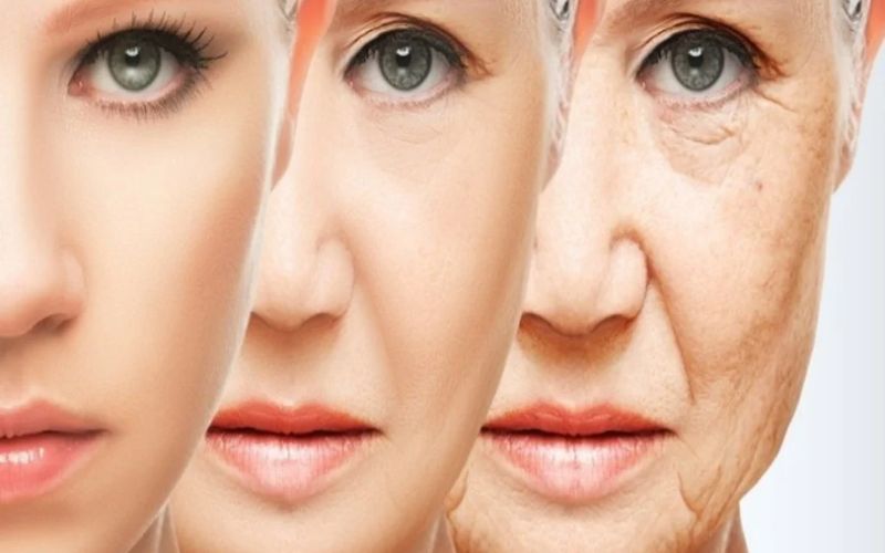Gạo lứt giàu chất chống oxy hóa giúp chống lão hóa và tăng cường sức khỏe, trong khi gạo trắng hầu như không có.